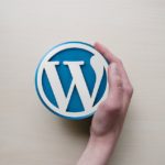 pros and cons of wordpress plugins